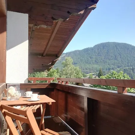 Haus Barbara 公寓 *